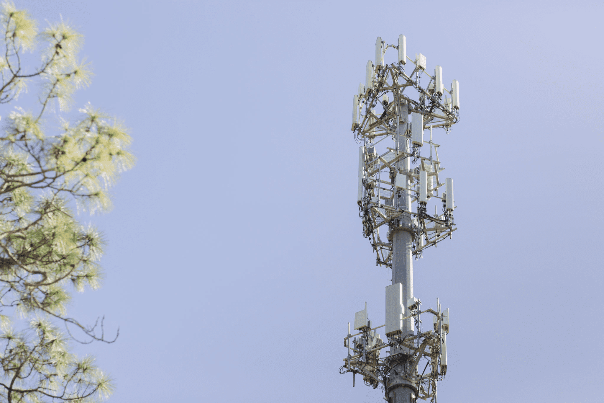 Wireless Services